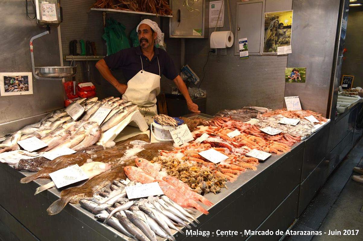 154- Malaga Atarazanas.JPG